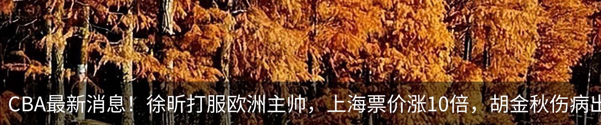 内页banner